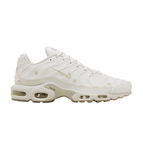Nike Air Max Plus A-COLD-WALL Platinum Tint FD7855-002