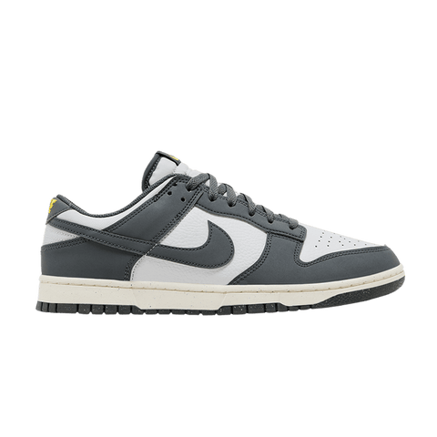 Nike Dunk Low Next Nature Iron Grey Lightning FZ4621-001