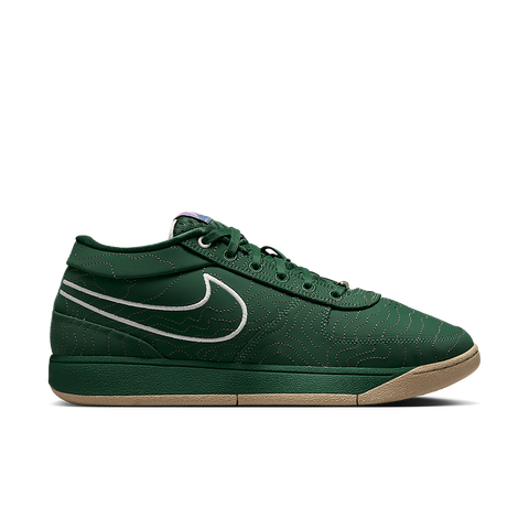 Nike Book 1 Flagstaff FJ4249-300