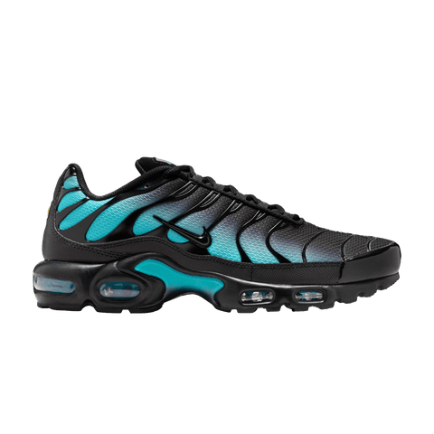 Nike Air Max Plus Black Dusty Cactus DM0032-016