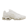 Nike Air Max Plus A-COLD-WALL Platinum Tint FD7855-002
