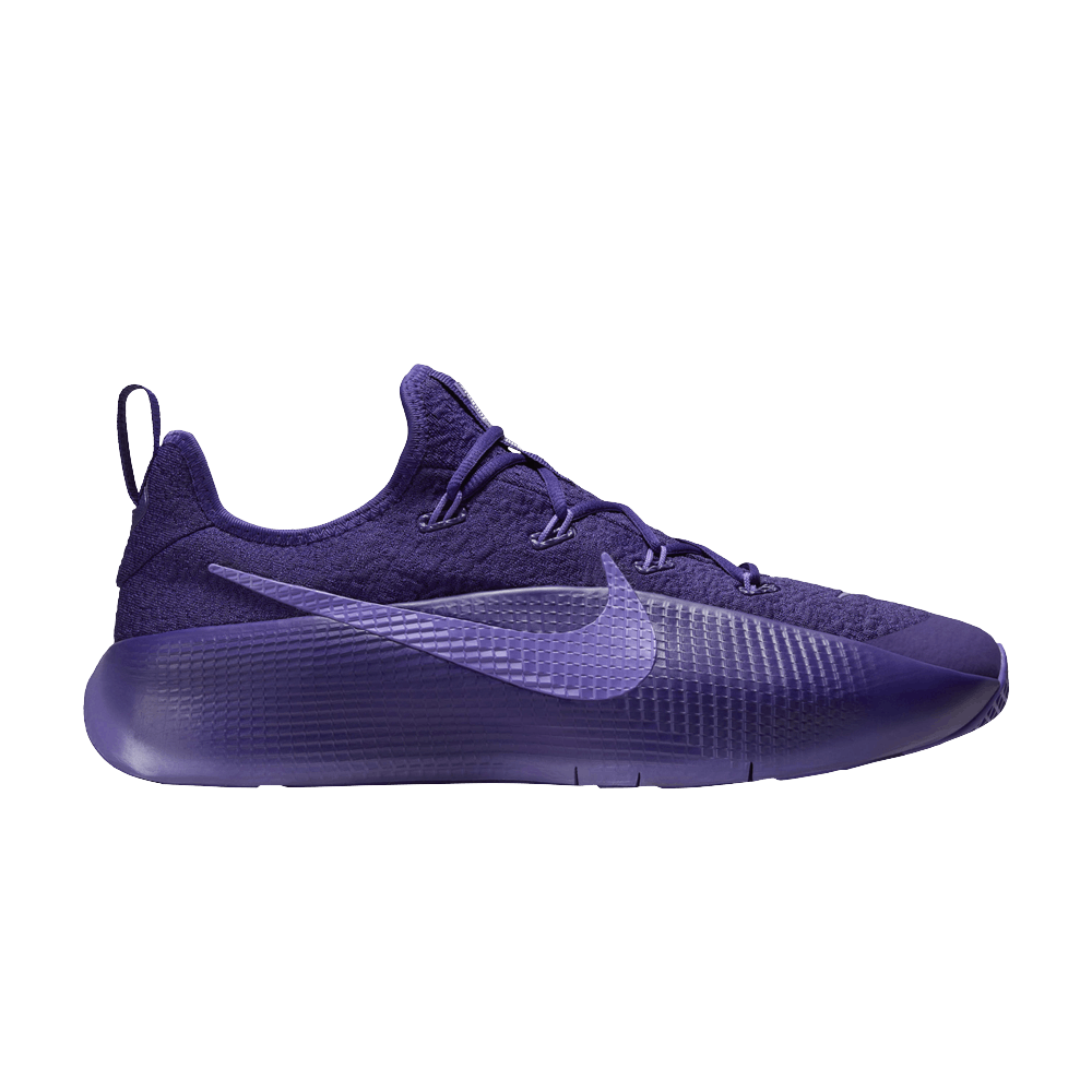 Nike LeBron TR 1 Purple Rain FJ6151-500