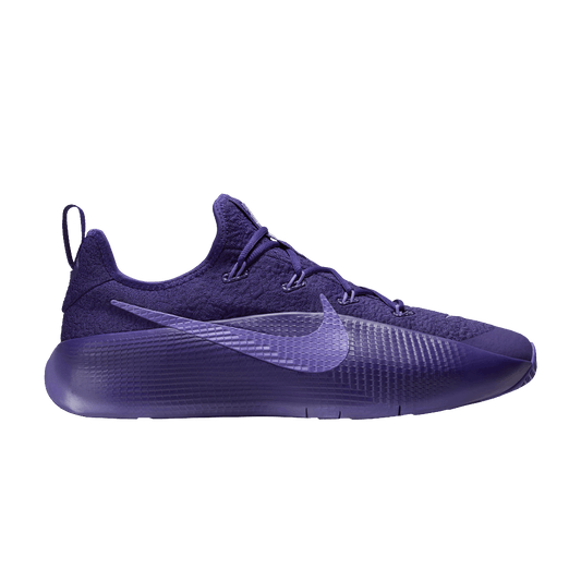 Nike LeBron TR 1 Purple Rain FJ6151-500