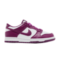 Nike Dunk Low Viotech (GS) FB9109-110