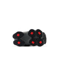 zool
