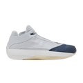 Nike Air Jordan 40 Wolf Grey HM9931-001
