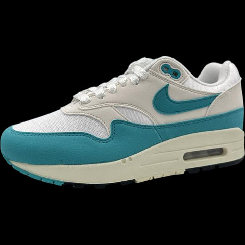 Nike Air Max 1 Dusty Cactus (Women's) DZ2628-107