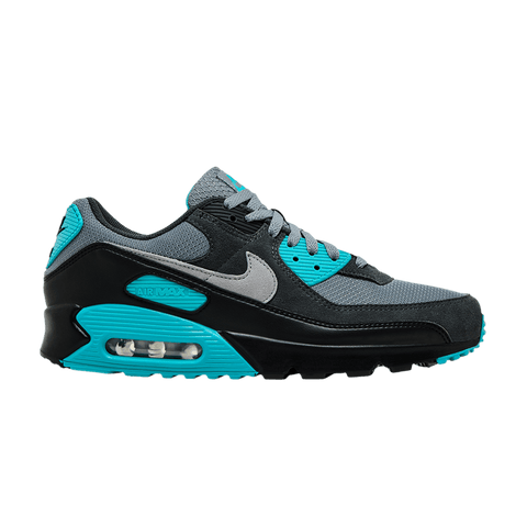 Nike Air Max 90 Cool Grey Dusty Cactus Black Wolf Grey DM0029-013