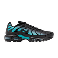 Nike Air Max Plus Black Dusty Cactus DM0032-016