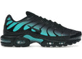 Nike Air Max Plus Black Dusty Cactus DM0032-016