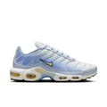 Nike Air Max Plus Daybreak (Women's) DZ3670-004