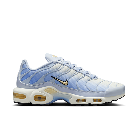 Nike Air Max Plus Daybreak (Women's) DZ3670-004