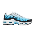 Nike Air Max Plus Ice (GS) FD9767-100
