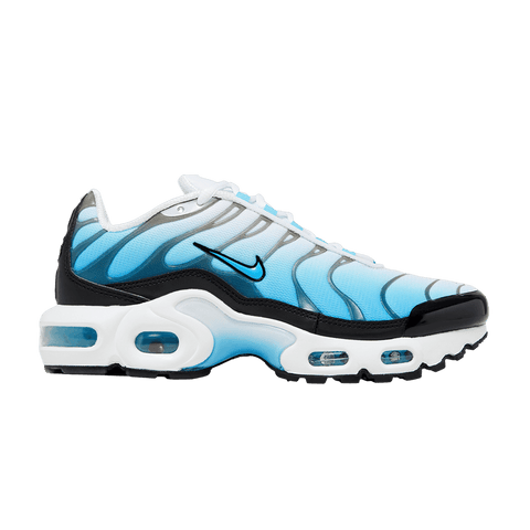 Nike Air Max Plus Ice (GS) FD9767-100