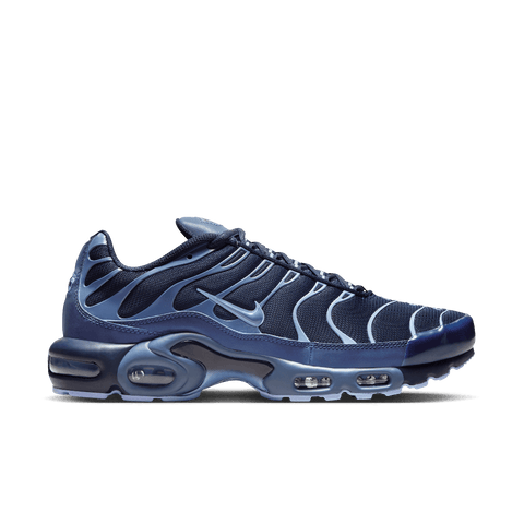 Nike Air Max Plus Obsidian Aluminum IM6601-451