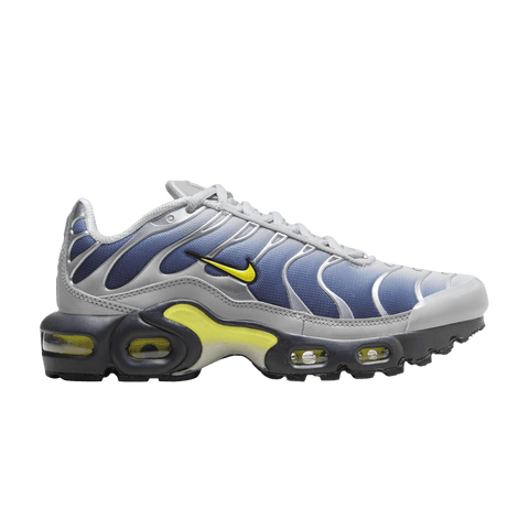 Nike Air Max Plus Obsidian Silver (GS) HF0030-001