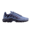 Nike Air Max Plus World Indigo DM0032-404