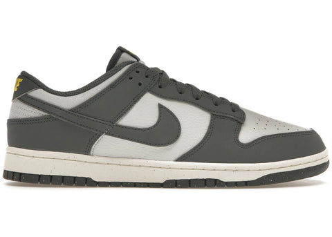Nike Dunk Low Next Nature Iron Grey Lightning FZ4621-001