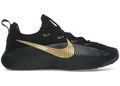 Nike LeBron TR 1 Black Metallic Gold FJ6151-004