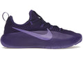 Nike LeBron TR 1 Purple Rain FJ6151-500