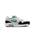 Nike DZ3307-108