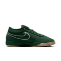 Nike FJ4249-300