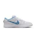 Nike FZ8802-100