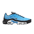 Nike Air Max Plus Naples HM0718-400