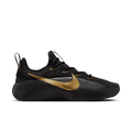 Nike LeBron TR 1 Black Metallic Gold FJ6151-004