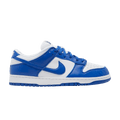 Nike Dunk Low SP Kentucky CU1726-100